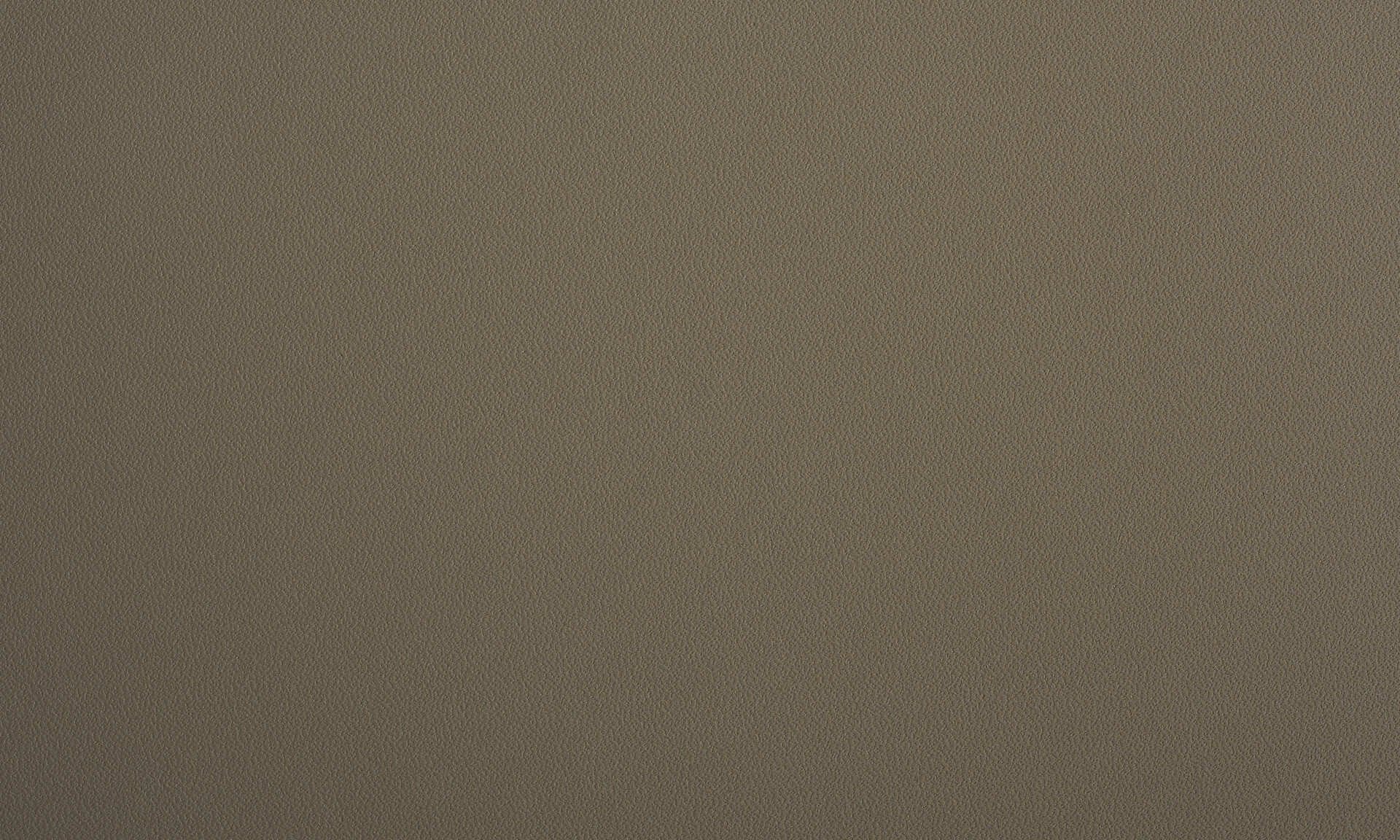 INCA RIO 13743